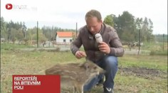 Těžký život reportérů: Podívejte se, do jak bláznivých situací už se dostali