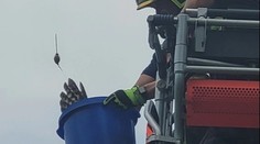 Neobvyklá záchrana na Opavsku. Hasiči lapali do kbelíku zamotaného ptáka
