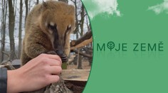 Zoologické zahrady mají stále problémy. Lidé se skládají i na krmivo