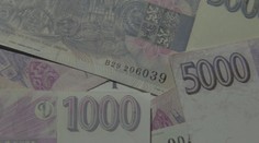 Čechům chybí ostré lokty! O více peněz v práci si neumí říct