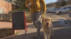 Část majitelů psů v Praze přišla se zajímavou peticí. Na procházky mají nosit ocet