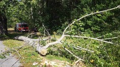 Tragédie na Slovensku! Silný vítr zabil 14leté dítě, další jsou zraněné