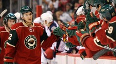 Bývalý hráč NHL na dovolené zachránil tonoucí se šestiletou dívku