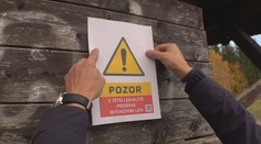 Na Jablonecku jdou do akce odstřelovači. Budou likvidovat divoká prasata