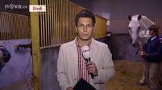 Kladrubský hřebčín nedostane peníze na opravu