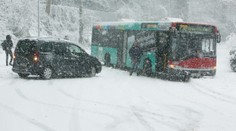 Bílá apokalypsa v Německu! Na severu napadlo až 35 cm sněhu