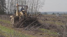 V Česku ubývá ovocných sadů. Pěstování se už nevyplatí, zlobí se zemědělci
