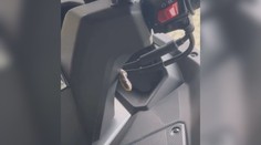 Nepříjemné překvapení pro známého moderátora. Z motorky na něj vykoukl had