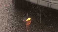 Jela se synem na nákup, shořelo jí auto