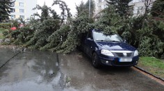 Česko sčítá škody po bouři, vítr lámal stromy a strhával střechy