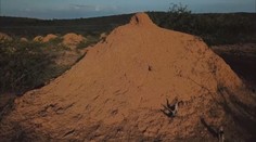 Úžasná stavba ukrytá tisíce let je vidět i z vesmíru