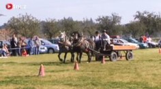 Velká koňská show na Vysočině