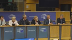Česko má 21 europoslanců. Jejich vliv v Evropském parlamentu je ale mizivý