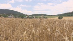 Sněmovna schválila novelu, která má pomoci ochraně nejkvalitnější zemědělské půdy