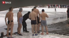 VIDEO: Otužilci mezi krami. Kvůli plavání museli rozřezat led