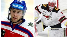 Reprezentaci posílí mistři KHL. Pešán odhalil i možné posily ze zámoří