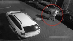 Lupič vláčel dívku za vlasy a kopl ji do hlavy. Poznáváte ho? VIDEO