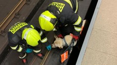 Děs v pražském metru: Před přijíždějící vlak spadla nevidomá dívka i se psem