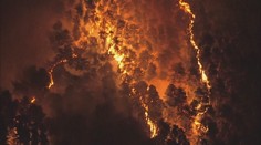 Nejhorší požáry za 10 let. Úřady v USA ani nestíhají varovat obyvatele