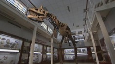 VÍKEND: Láska mezi dinosaury