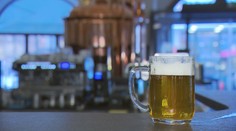 Objednat pivo se dá online! Chytrá mapa ukáže i výdejní místo pivovaru