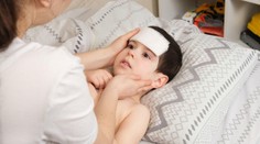 Exotická horečka se blíží k Česku. Je i u sousedů, zavádí povinnou karanténu