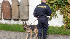 Pachové stopy používala policie špatně, tvrdí spolek Šalamoun