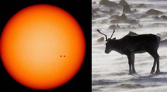 VĚDCI VARUJÍ: Slunce pomalu usíná! Čeká nás doba ledová