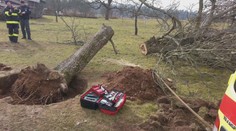 Dva muži se zranili při kácení stromů na Královéhradecku, letěl pro ně vrtulník
