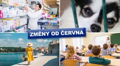 Vyšší tresty za týrání, nová žádost o ošetřovné. Tohle se od června mění