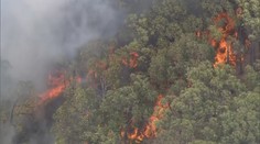 Austrálii zasáhly ničivé požáry. Plameny pohltily už více než 30 domů