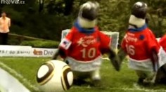 VIDEO: Fotbalový turnaj tučňáků