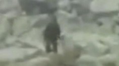 Turista natočil v Tatrách yetiho. VIDEO