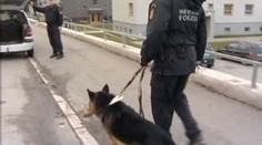 Vlčák se policistovi zakousl do nosu. Vypadal hůř než Jackson