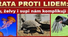 Zvířata nám dokážou zamotat hlavu a zkomplikovat život!