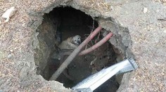 Pes se propadl do díry plné vody. Hasiči se k němu museli prokopat