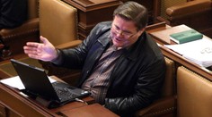 Škromach: Vláda se bude divit, ovládneme Senát