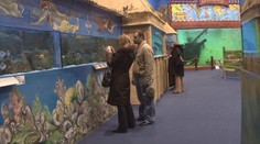 Kde leží druhá pražská zoo?