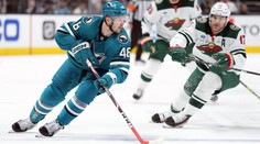 Nosek asistoval u vítězné branky a Boston má rekord. Hertl dal 200. gól