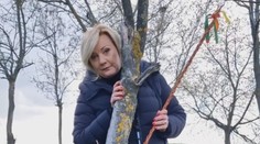 Velikonoce u politiků: Babiš má obří vejce, Schillerová pomlázku a Pavel kočku