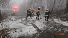 Na Bruntálsku námraza láme stromy. Jezděte jinudy, radí hasiči řidičům
