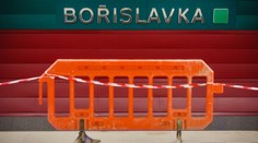 Štěně vlčáka zastavilo v Praze metro. Fenku chytili až po několika hodinách