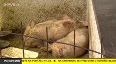 Štáb TV Nova strávil jeden den s vytopenou rodinou