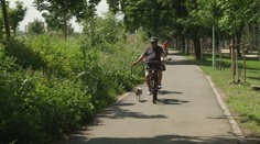 Světový den jízdního kola. Počet lidí, kteří se dopravují vlastní silou, se zvyšuje