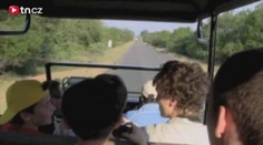 Ostravští školáci odjeli do Afriky pomáhat chudým dětem