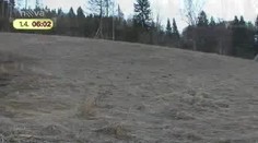 VIDEO: Důchodce vypaloval trávu a uhořel!