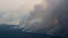 Do hašení požárů v Amazonii se zapojí armáda. Pomoc nabídl i Trump