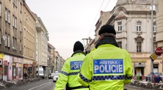 Žena volala strážníky do kadeřnictví. Důvodem byl zoufalý účes!