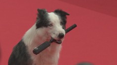 Začal filmový festival v Cannes. Po červeném koberci se prošel i Messi