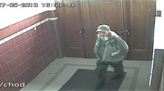 Neznáte je? Šmejdí po domech a kradou, policisté po nich pátrají
